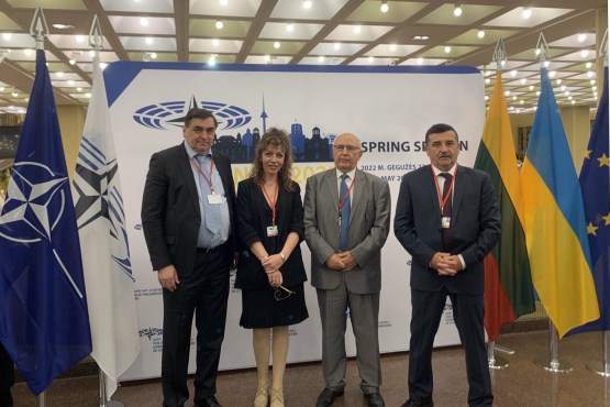 Članovi Delegacije PSBiH u PSNATO-a održali sastanak sa članovima Delegacije Sobranja Sjeverne Makedonije u PSNATO-a